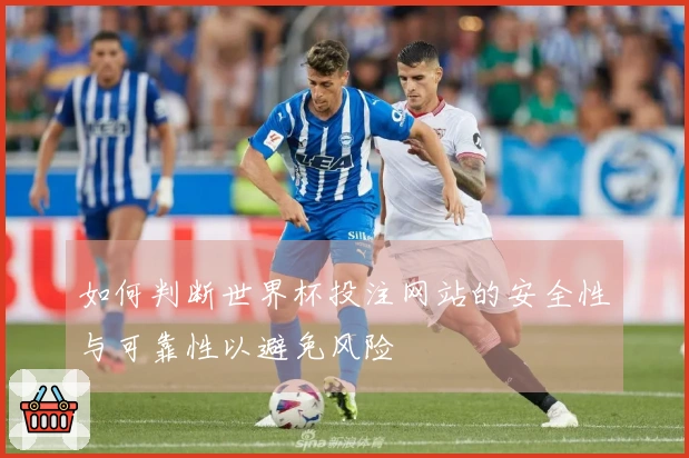 如何判断世界杯投注网站的安全性与可靠性以避免风险
