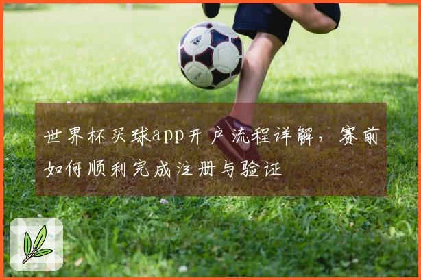 世界杯买球app开户流程详解，赛前如何顺利完成注册与验证