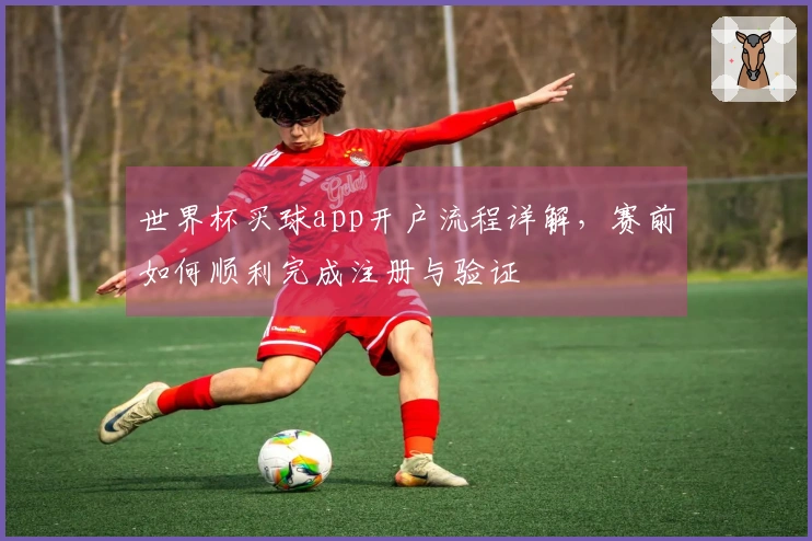 世界杯买球app开户流程详解，赛前如何顺利完成注册与验证