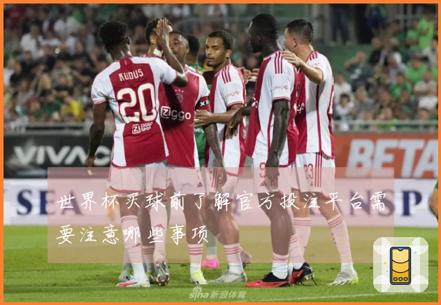 世界杯买球前了解官方投注平台需要注意哪些事项