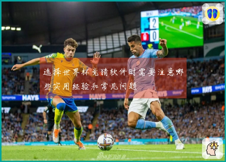 选择世界杯竞猜软件时需要注意哪些实用经验和常见问题