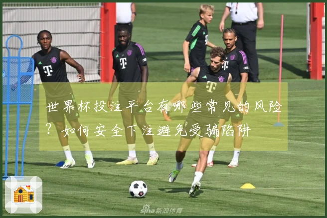 世界杯投注平台有哪些常见的风险？如何安全下注避免受骗陷阱