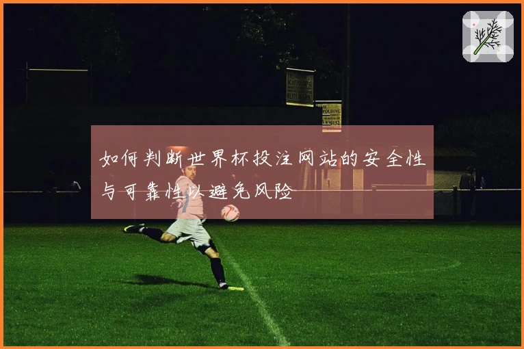 如何判断世界杯投注网站的安全性与可靠性以避免风险